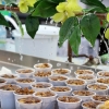 Gran ambiente en la feria de San Juan 2023