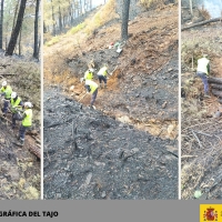 Así están trabajando en las zonas arrasadas por el fuego en Extremadura