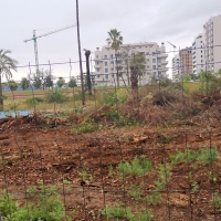 Las máquinas arrasan gran parte del Parque Ascensión de Badajoz