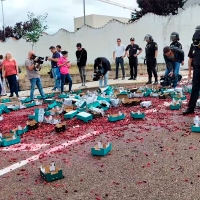 Los agricultores del norte extremeño tiran 500 kilos de cereza como protesta