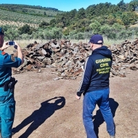 En investigación el robo de corcho en fincas de Badajoz, Alburquerque y San Vicente
