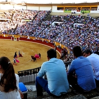 Piden retirar ofertas para menores de la feria taurina de Badajoz