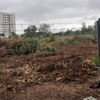 Muestran tristeza por la pérdida del Parque Ascensión