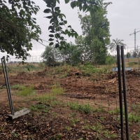 Las máquinas arrasan gran parte del Parque Ascensión de Badajoz