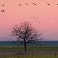 La contaminación del aire repunta en Extremadura