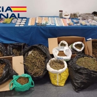 Intervienen marihuana, speed y dinero en efectivo, junto a cuatro plantaciones “indoor” en Mérida