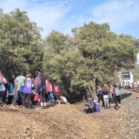 Grave incidente en el tren: 170 pasajeros en mitad del campo