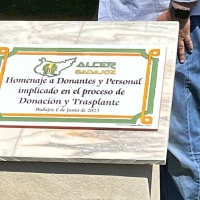 Vergeles reclama al Gobierno que la donación en vivo se reconozca como baja laboral para el donante