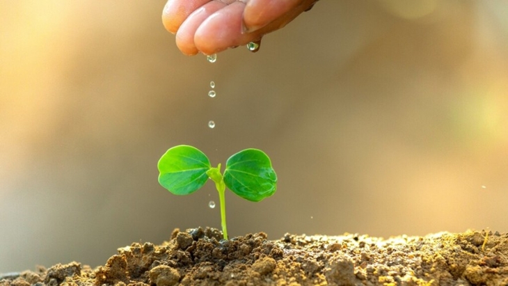 Un sensor para reducir el consumo de agua y plantarle cara a la sequía