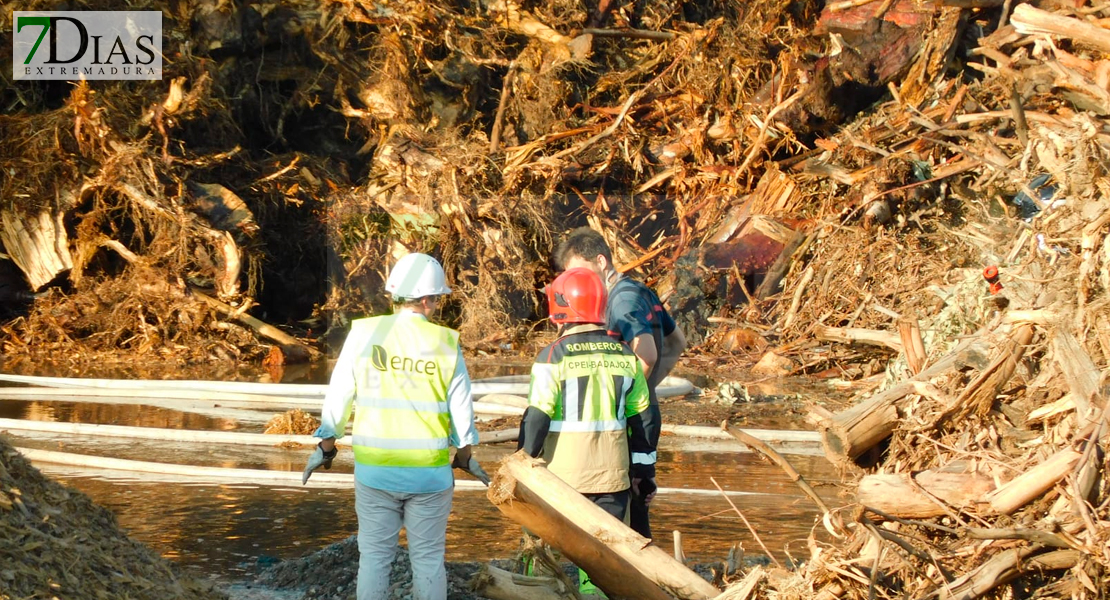 Arde el combustible de la planta de Biomasa de Mérida en un aparatoso incendio