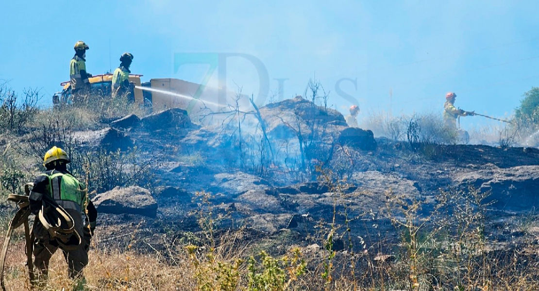 INFOEX y SEPEI se coordinan para luchar contra las llamas en Plasencia