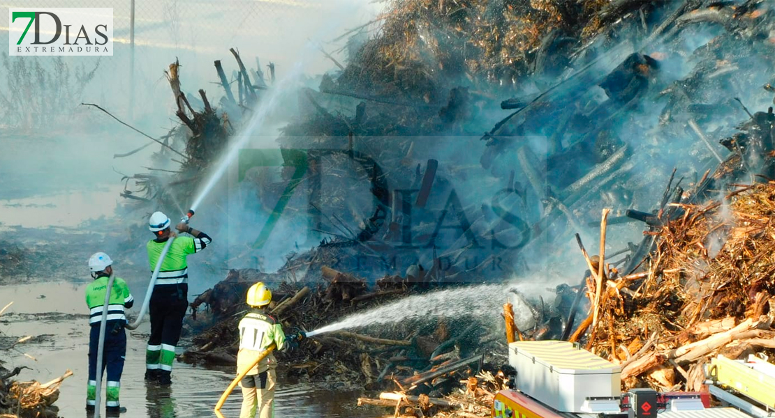 Arde el combustible de la planta de Biomasa de Mérida en un aparatoso incendio