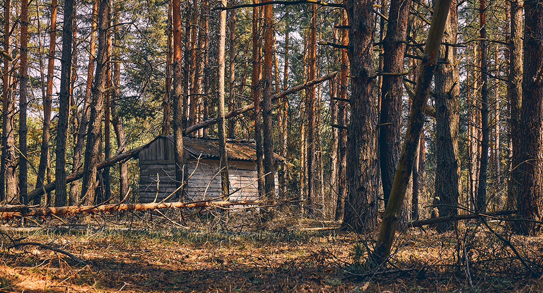 Una plaza para trabajar en el Medio Natural en Extremadura