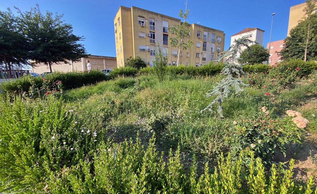 “El mantenimiento de Badajoz sigue siendo una asignatura pendiente”