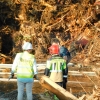 Arde el combustible de la planta de Biomasa de Mérida en un aparatoso incendio