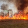REPOR: Imágenes que deja el incendio forestal de la EX-209