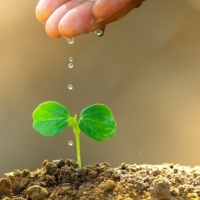 Un sensor para reducir el consumo de agua y plantarle cara a la sequía