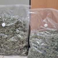 La Guardia Civil interviene en Torremejía varios kilos de marihuana
