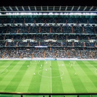 Suspensión y desalojo de los eventos deportivos que registren incidentes racistas