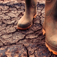 Esta es la cantidad que abonará Agroseguro a extremeños por la sequía
