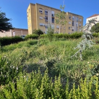 “El mantenimiento de Badajoz sigue siendo una asignatura pendiente”