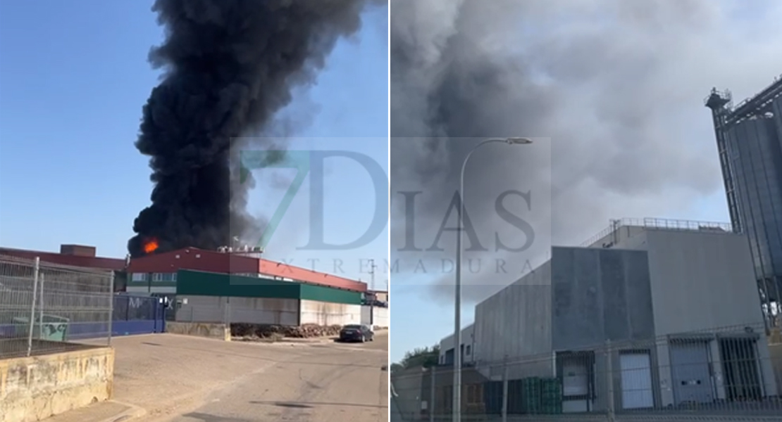 Incendio en una planta de reciclaje en Lobón