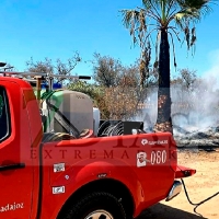 Amplio dispositivo para extinguir un incendio forestal en la N-523 (Badajoz)