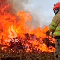 El INFOEX moviliza más de medio centenar de efectivos en los incendios del fin de semana