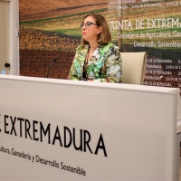 ¿Peligra la ganadería extremeña con la enfermedad hemorrágica? La consejera responde