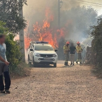 Dan con el autor de dos incendios forestales en Extremadura