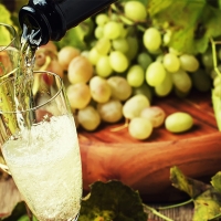 "Las bodegas pagan 15 cént. más a Cataluña que a Extremadura por la misma uva. ¿Por qué?"