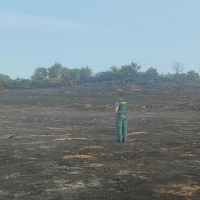 Investigado como supuesto responsable de un incendio en Jaraíz de la Vera