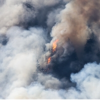 Días claves para Extremadura: si ves fuego, llama al 112 inmediatamente