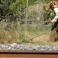 El Gobierno invertirá 119 M€ en el control de la vegetación en líneas ferroviarias