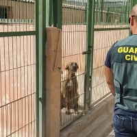 Detenido tras estafar a propietarios de perros robados