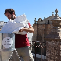 El número de palomas sigue creciendo en Don Benito y se ven obligados a tomar medidas