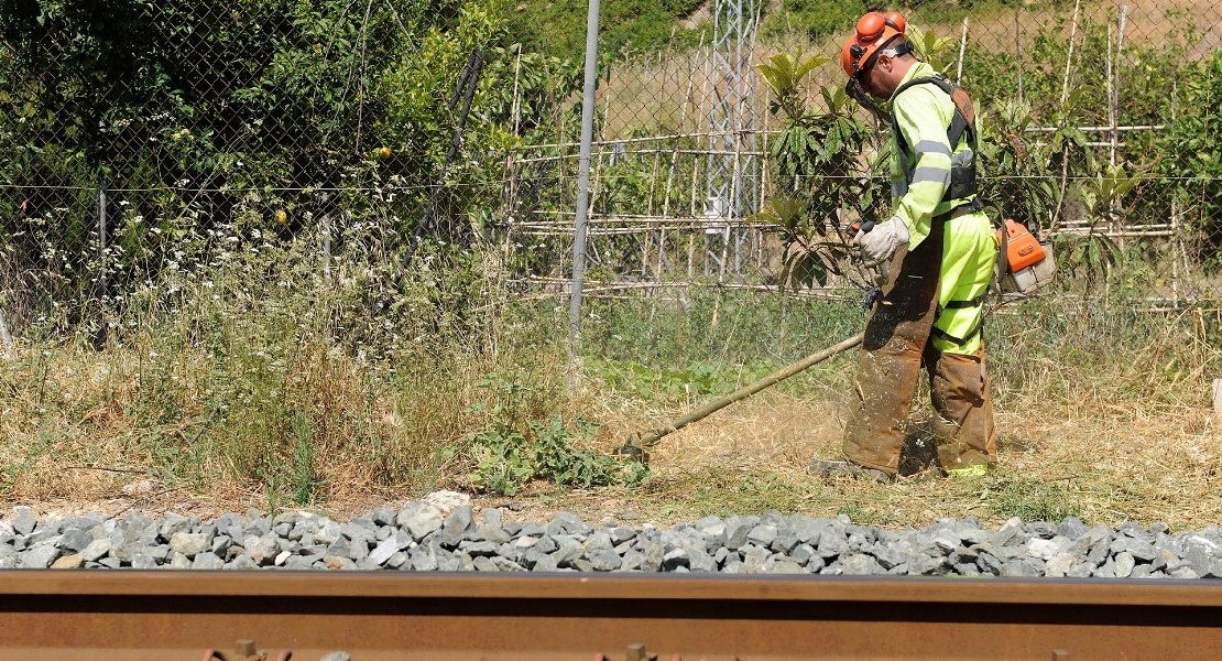 El Gobierno invertirá 119 M€ en el control de la vegetación en líneas ferroviarias