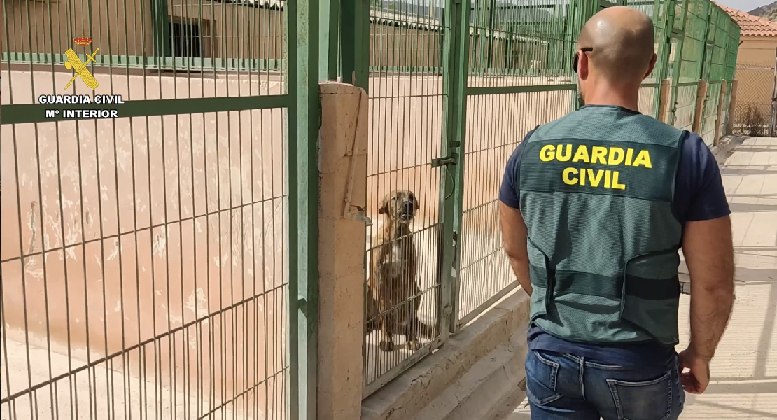 Detenido tras estafar a propietarios de perros robados