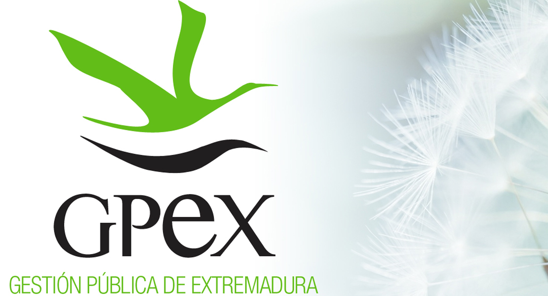 GPEX publica dos ofertas de trabajo en Extremadura
