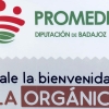 La importancia de Promedio en la Feria Internacional Ganadera de Zafra