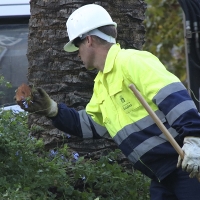Dan comienzo los trabajos de mantenimiento en rotondas y medianas de Badajoz