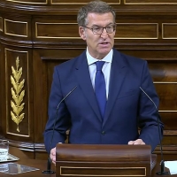 Feijóo rechaza &quot;la amnistía o cualquier forma análoga para superar el conflicto catalán&quot;