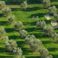 La Junta se compromete a tomar medidas para frenar los robos que se producen en el campo