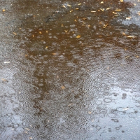 Lluvia y tormenta para el sábado: la AEMET pone en alerta a toda Extremadura