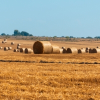 Extremadura pide la modificación de la PAC