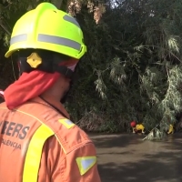 Encuentran el cadáver de un ciclista desaparecido