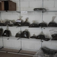 La Guardia Civil desmantela un centro de producción de cannabis en Extremadura