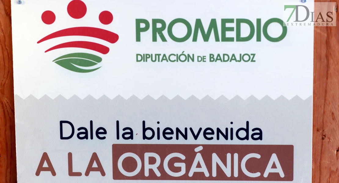 La importancia de Promedio en la Feria Internacional Ganadera de Zafra