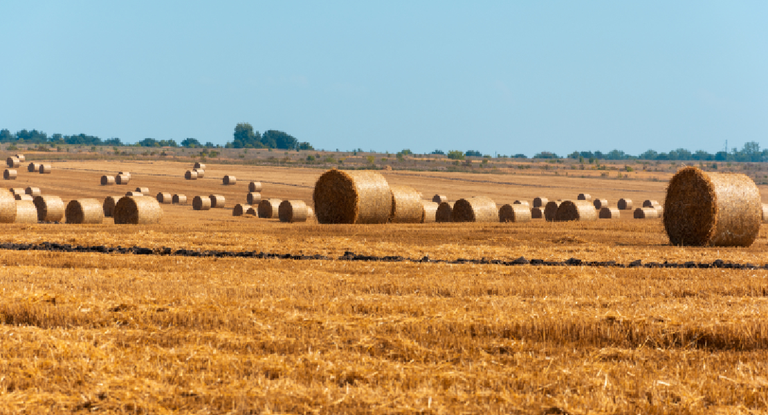 Extremadura pide la modificación de la PAC