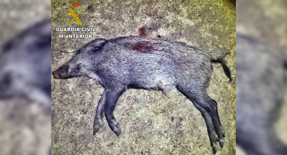 La Guardia Civil sorprende a tres cazadores furtivos en Extremadura